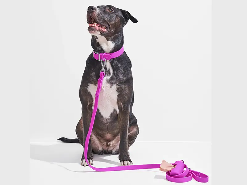 Durable nylon webbing for pet collars leashes and dog harnesses