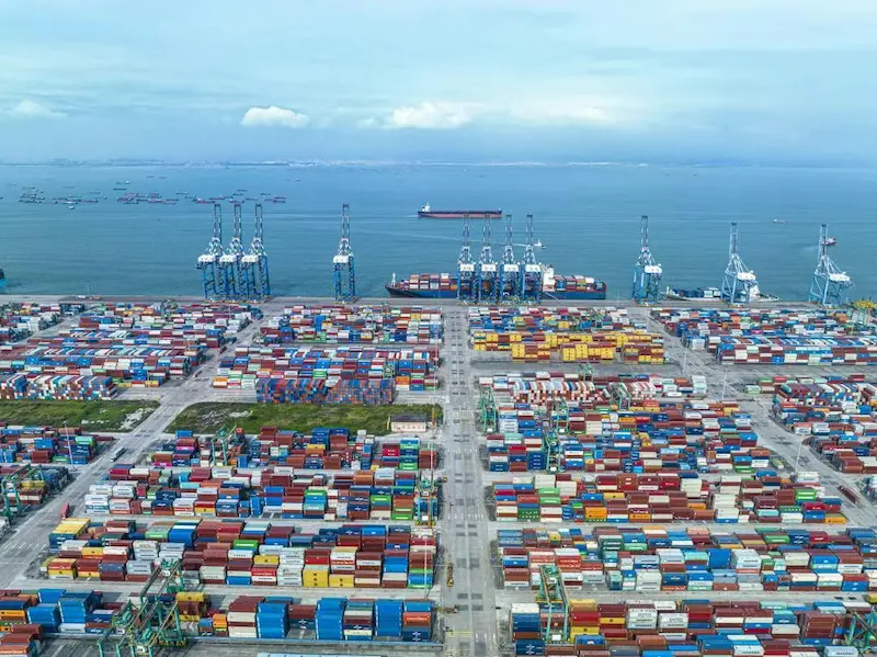 Cajas de exportación de cinta bien embaladas y selladas, listas para el envío internacional.